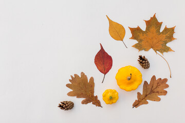 Autumn holiday frame composition with pattern made of leaf, punpkins, dried orange, pine cone on...