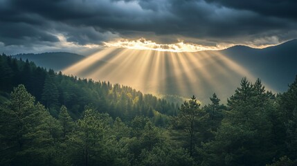 A serene sunset illuminating the mountains and forest, with soft clouds drifting above, creating a picturesque evening landscape
