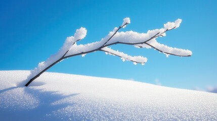 A single snow-covered branch resting on smooth snow under a clear winter solstice sky creating a minimalist and tranquil winter scene