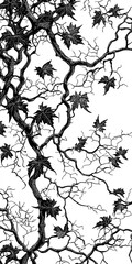 Fototapeta premium Climbing ivy silhouette, intricate black vine pattern on white, detailed botanical illustration