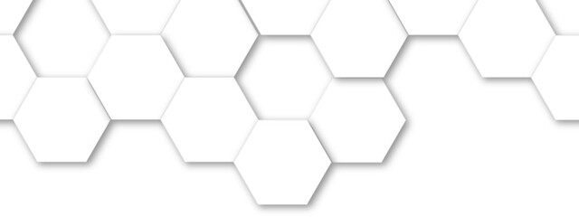Abstract white and gray hexagon technology lines background. Abstract white and grey color hexagonal geometric background with copy space. Abstract white lines background.