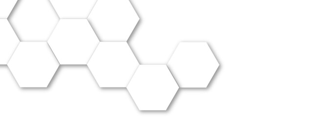 Abstract white and gray hexagon technology lines background. Abstract white and grey color hexagonal geometric background with copy space. Abstract white lines background.