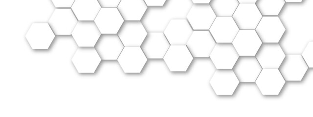 Vector technology background with hexagon concept design. Embossed Hexagon , honeycomb white shadow. Luxury White 3D futuristic honeycomb mosaic white background.