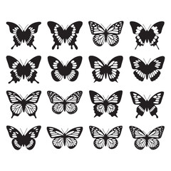 butterfly's silhouette
