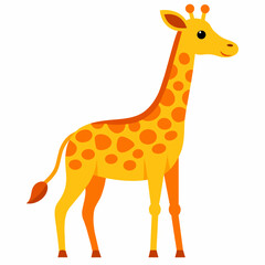 giraffe illustration