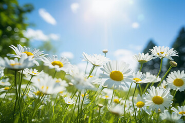 Sunlit Meadow Adorned with a Daisy Chain, Showcasing the Simple Beauty of Cheerful Flowers – Generative AI
