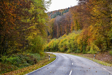 Naklejka premium Landstraße im Wald bei toller Herbststimmung mit Herbstlaub an den Bäumen im Herbstwald bei Bad Bocklet, Franken, Bayern, Deutschland 
