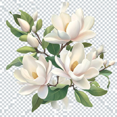 Fototapeta premium White magnolia flowers with light green leaves, transparent background, wedding clip art,Generative AI