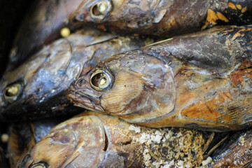 Cooked ( Pindang ) skipjack tuna