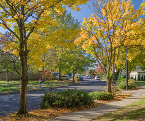Naklejka premium Autumn in a neighborhood streets Gresham Oregon.