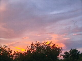 sunset over the field