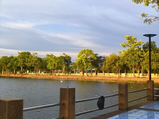 wooden bridge in the park