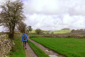 Fototapeta premium Adele walking through Alstonefield farmland.