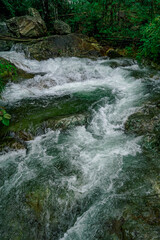 A scenic view of a stream with rocks and a fallen tree branch.