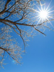 Gleaming sunshine bursting with energy, filling the sky with vibrant light and warmth on a beautiful day.