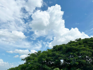 Obraz premium The sky is cloudy in summer and has a bright blue-green color. Landscape