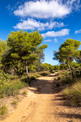 Wanderweg Puig de s`Aguila bei Cala Mesquida, Mallorca, Spanien