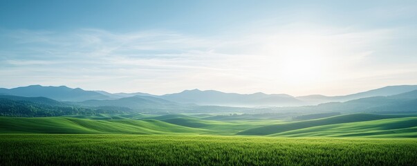 Obraz premium Vast green hills under a clear blue sky, with sunlight illuminating the serene landscape.