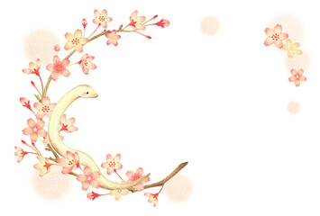 白蛇と桜の飾り枠の巳年の年賀状　横　手描き色鉛筆画