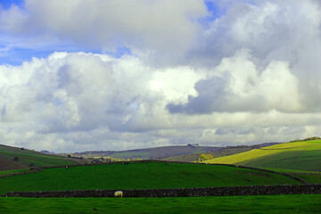 Fototapeta premium Pastoral idyllic landscape, in Alstonefield, Derbyshire.