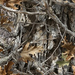 Oak Tree Bark Oak Leaves Hunting Camo Pattern, Seamless Camouflage Foliage Texture