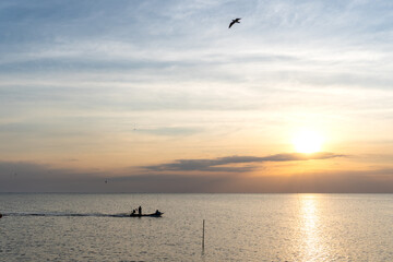 life in the sea at sunset