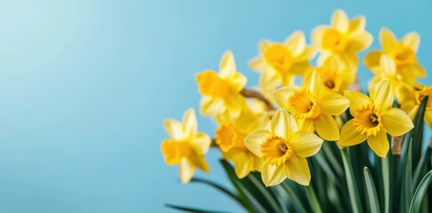 Obraz premium Sunshine Gleaming Brightly: Embracing the Warmth of Midday Daylight