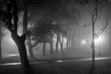 Evening view of the alley in the old park in foggy weather. Black and white photo