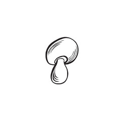Porcini mushroom sketch. Vector graphic line illustration hand drawn isolated. Black and white doodle. Ingredient for cooking, food production. Wild forest concept. Clipart for postcard, sticker, menu