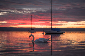 Sonnenuntergang in Herrsching am Ammersee
