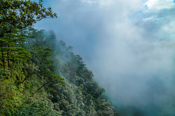 A lush forested hillside covered in dense greenery under a slightly cloudy sky.