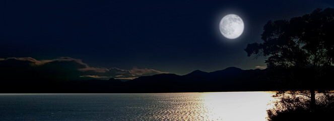 Night landscape