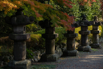神社の灯籠と紅葉したもみじの葉