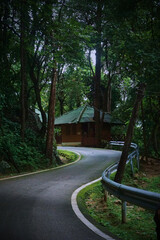 A winding road leading to a wooden cabin surrounded by lush green forest.