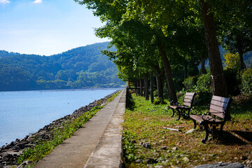 bench on the lake