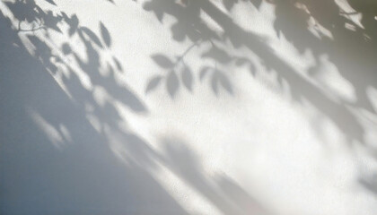Abstract natural tree shadow on white wall. Shiny white wall. Landscape with tree shadow.