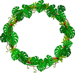 Fototapeta premium Jungle monstera leaves and liana round frame. Tropical forest nature vine shrub leaves isolated cartoon vector round frame, African rainforest flora creeper liana branch, ivy plant circle