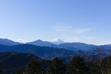 Fototapeta premium 青空を背景にした高尾山から見た富士山
