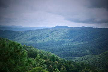 A panoramic view of a lush green forest with hills under a cloudy sky.