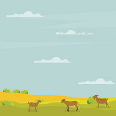 Vector illustration set of brown goat in cartoon flat style. Nubian Goat in different poses, with rural scene field with green grass. Icon for digital resources, logo, infographic