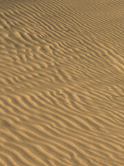 desert landscape in summer heat