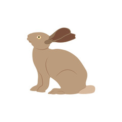 Fototapeta premium ector illustration of rabbit in cartoon flat style. A cute little fluffy rabbit in different pose and color. Illustration of livestock or wild animal isolated on white background for icon, infograph
