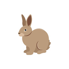 ector illustration of rabbit in cartoon flat style. A cute little fluffy rabbit in different pose and color. Illustration of livestock or wild animal isolated on white background for icon, infograph