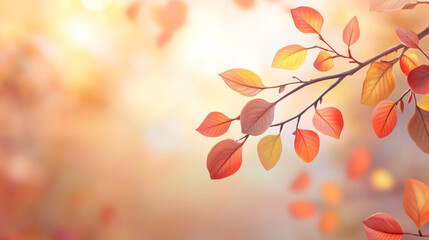 Obraz premium Beautiful small leaves bright fall colors yellow red orange on a branch with beautiful autumn outdoor defocused nature scene background with copy space