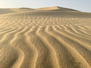 desert landscape on a sunny day.