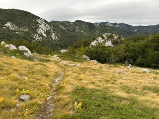 Velebit mountain in Croatia landscape