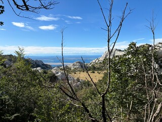 Velebit mountain in Croatia landscape