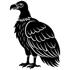 Obraz premium black vulture on white