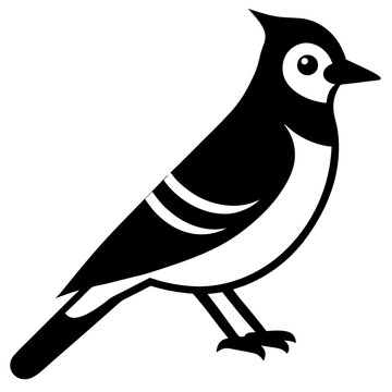recommend clip art: blue jay on white