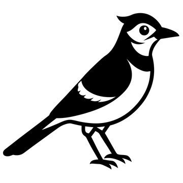 recommend clip art: Blue jay is a passerine bird in the family Corvidae. Blue Bird silhouette  flat style character of ornithology, vector illustration isolated on white
                    